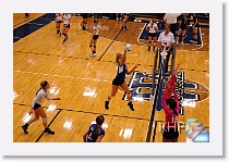 Set 1 * (116 Slides)